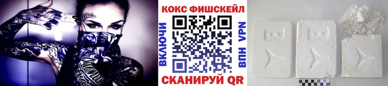 COCAIN Fish Scale  где купить наркотик  Сысерть 