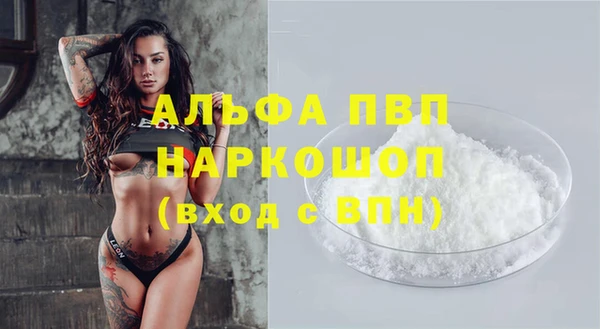 мяу мяу мука Абаза