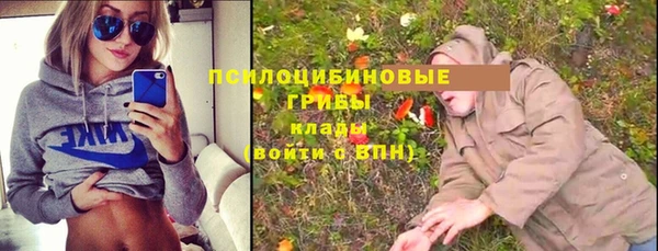 мяу мяу мука Абаза
