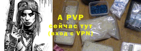 стаф Абдулино