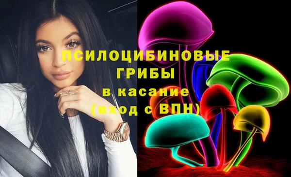 стаф Абдулино