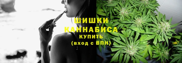 стаф Абдулино